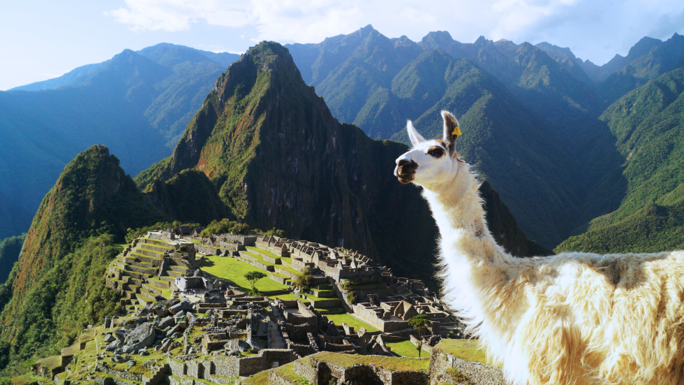 Photo 06- PTSPERU4 6D5N-Cusco - Machu Picchu