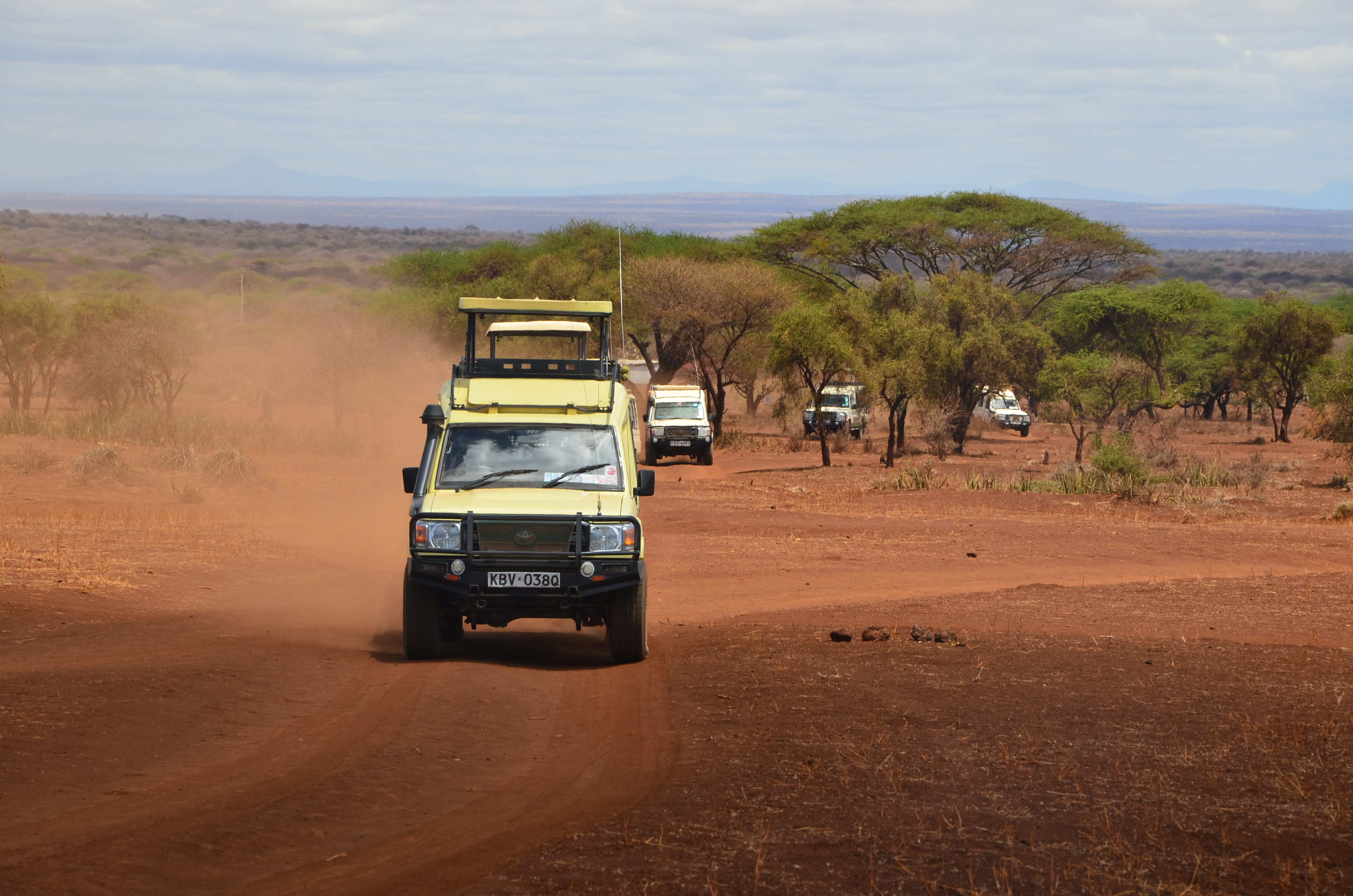 Kenya expert local guides safaris tour